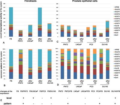 Differential regulation of heparan sulfate biosynthesis in fibroblasts cocultured with normal vs. cancerous prostate cells